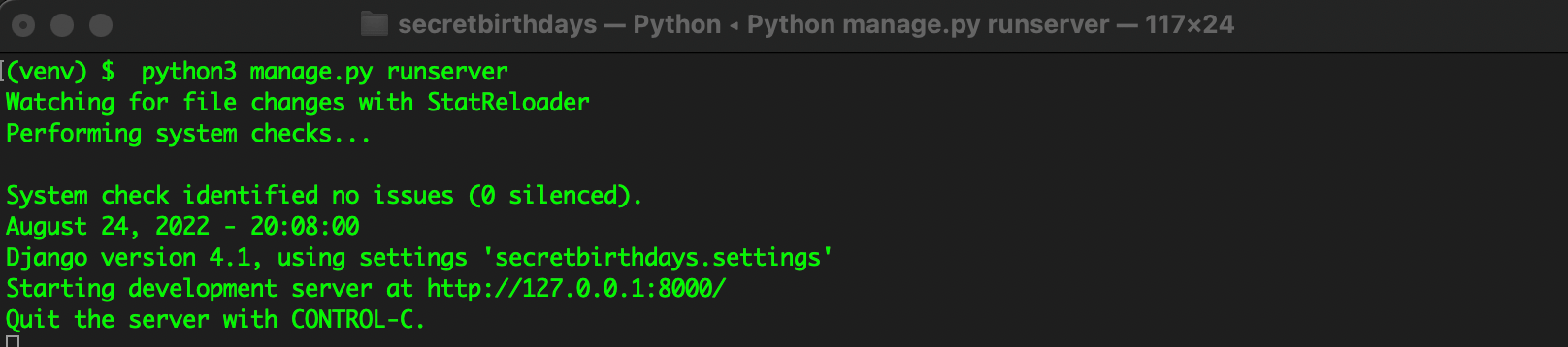 The Django development server starting successfully.
