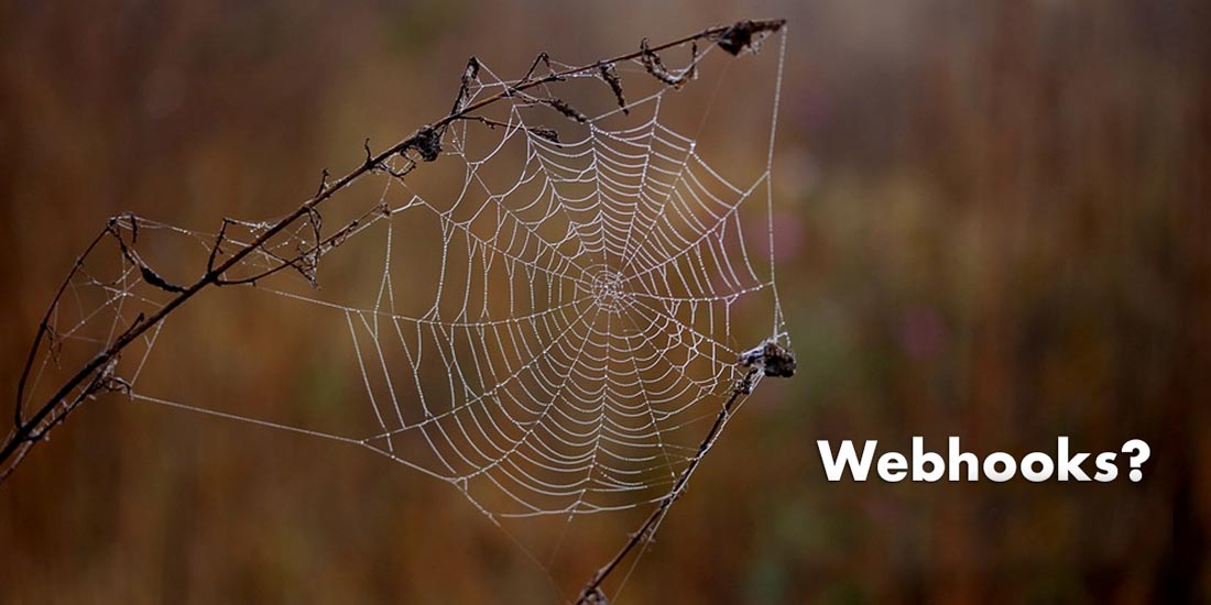 Using Webhooks In FusionAuth To Delete User Data