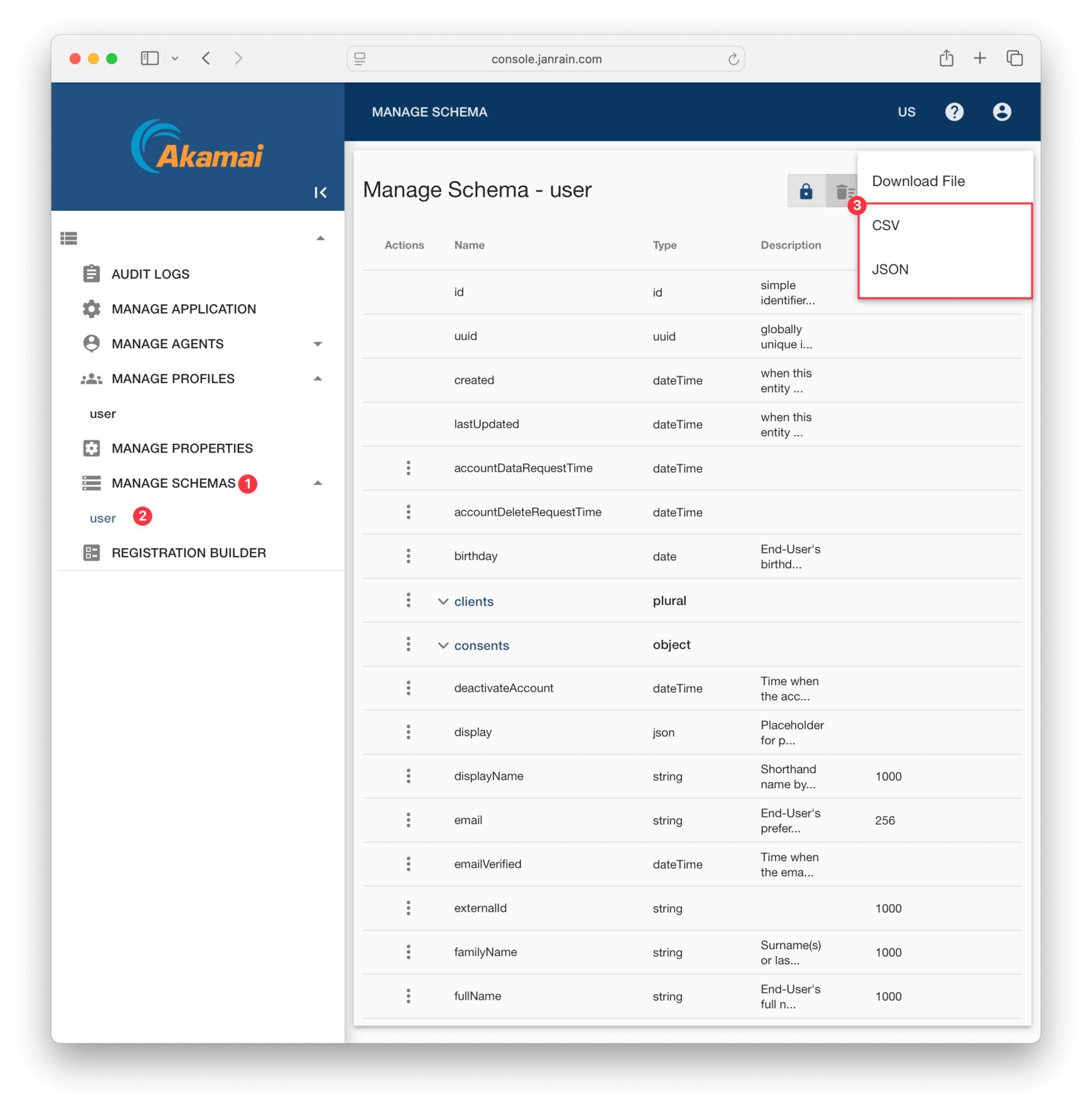 Export user schema from the web interface